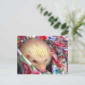 carte postale (Debout devant)