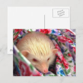 carte postale (Devant / Derrière)