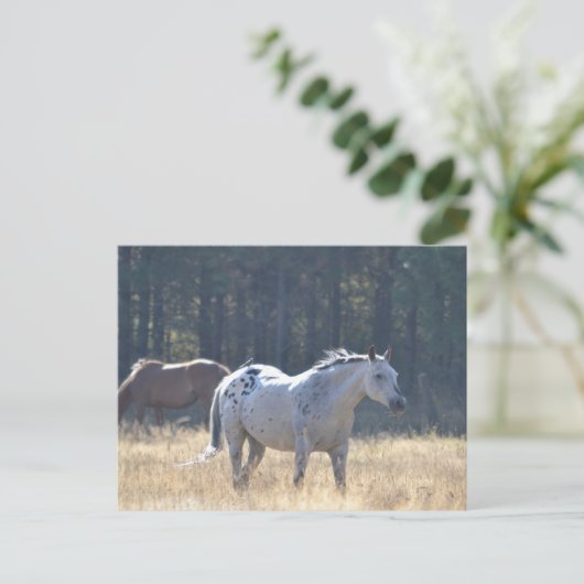 carte postale (Debout devant)