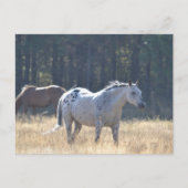 carte postale (Devant)