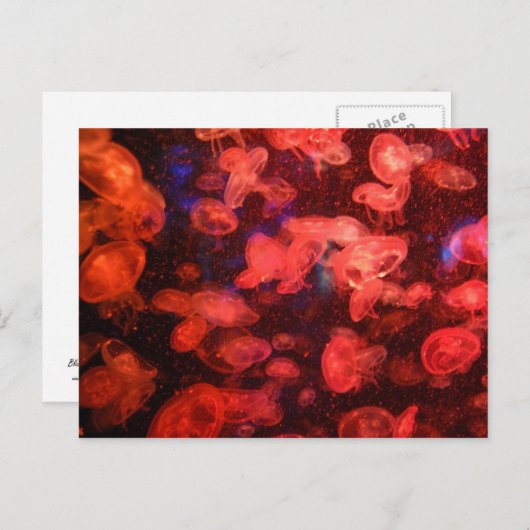 Carte postale (Devant / Derrière)