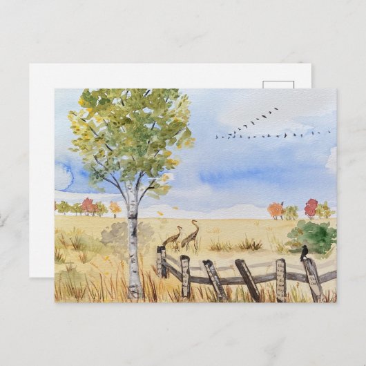 carte postale (Devant / Derrière)