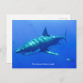 Carte postale (Devant / Derrière)