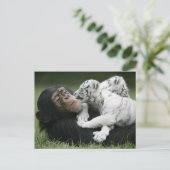 Carte postale (Debout devant)