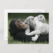 Carte postale (Devant / Derrière)