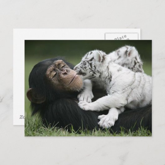 Carte postale (Devant / Derrière)