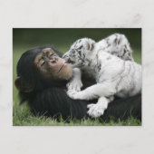 Carte postale (Devant)