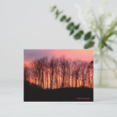 carte postale (Debout devant)