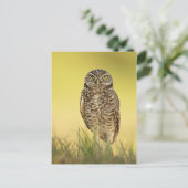 Carte postale (Debout devant)