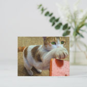 Carte postale (Debout devant)