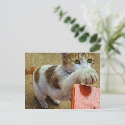 Carte postale (Debout devant)