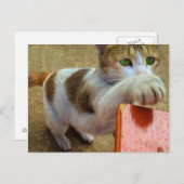 Carte postale (Devant / Derrière)