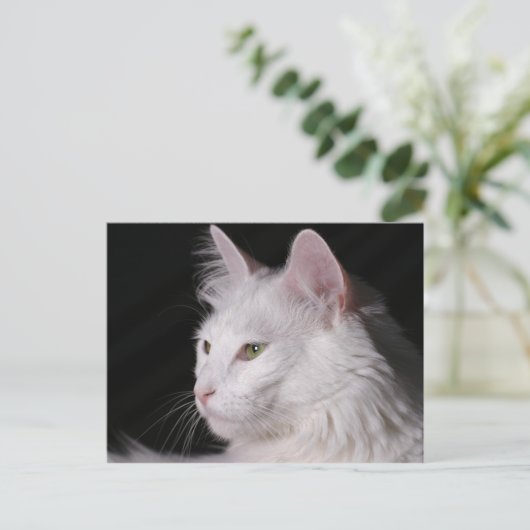 carte postale (Debout devant)