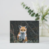 Carte postale (Debout devant)