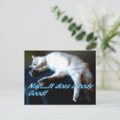 carte postale (Debout devant)