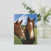 Carte postale (Debout devant)