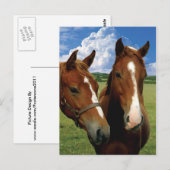 Carte postale (Devant / Derrière)