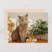 carte postale (Devant / Derrière)