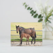 Carte postale (Debout devant)