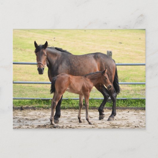 Carte postale (Devant)