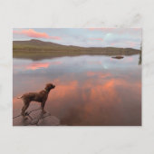 Carte postale (Devant)