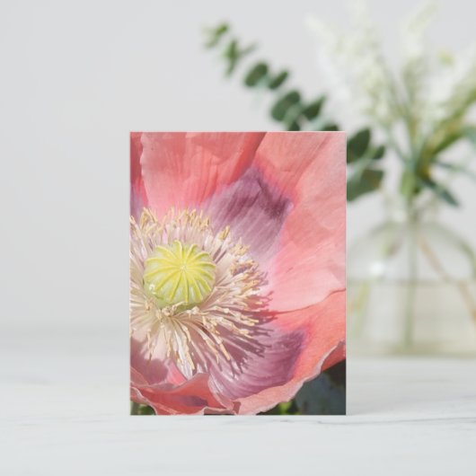 Carte postale (Debout devant)