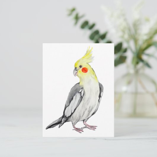 Carte postale (Debout devant)