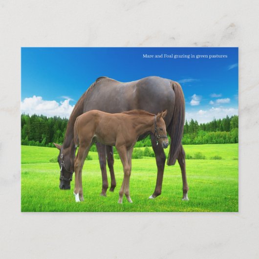 Carte postale (Devant)