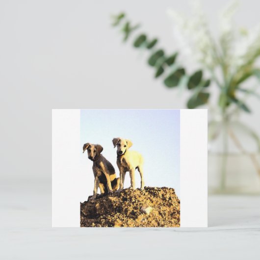 Carte postale (Debout devant)