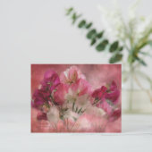 Carte postale (Debout devant)