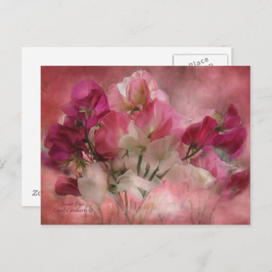 Carte postale (Devant / Derrière)