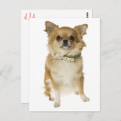 Carte postale (Devant / Derrière)