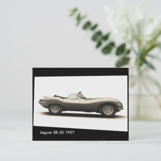 Carte postale (Debout devant)