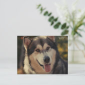 Carte postale (Debout devant)