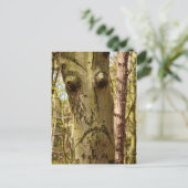 carte postale (Debout devant)