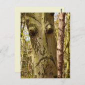 carte postale (Devant / Derrière)