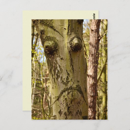 carte postale (Devant / Derrière)