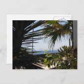 CARTE POSTALE (Devant / Derrière)