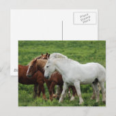 Carte postale (Devant / Derrière)