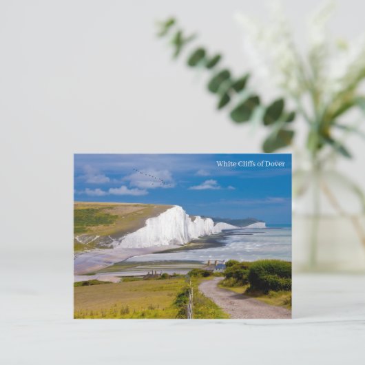 Carte postale (Debout devant)