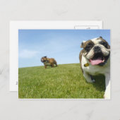 Carte postale (Devant / Derrière)