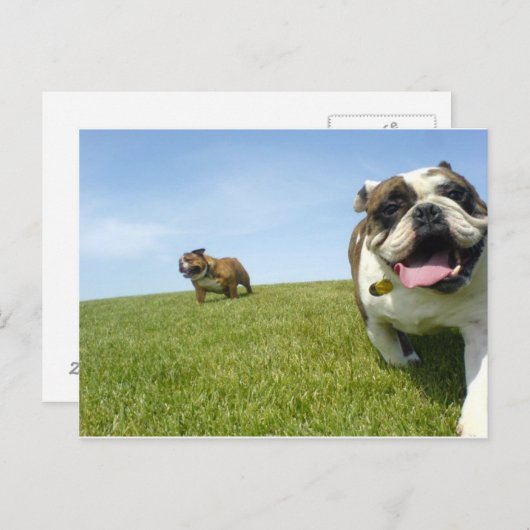 Carte postale (Devant / Derrière)