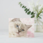 carte postale (Debout devant)