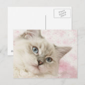 carte postale (Devant / Derrière)