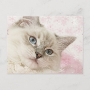 carte postale