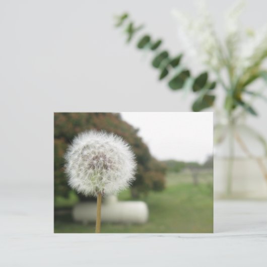 carte postale (Debout devant)