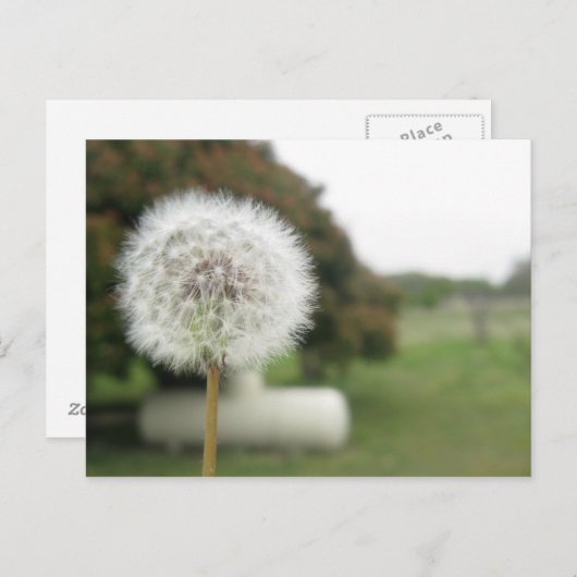 carte postale (Devant / Derrière)