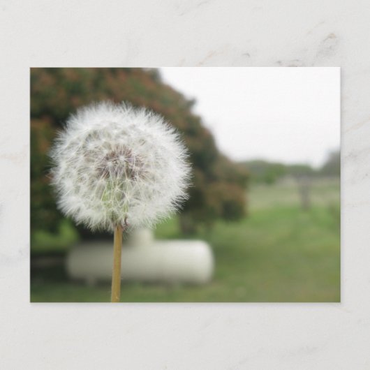 carte postale (Devant)