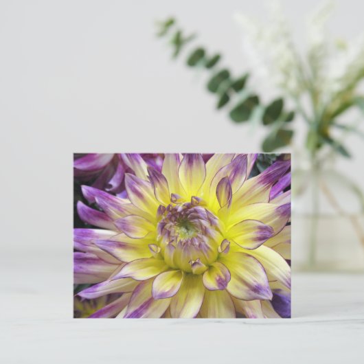 Carte postale (Debout devant)