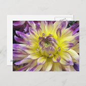 Carte postale (Devant / Derrière)